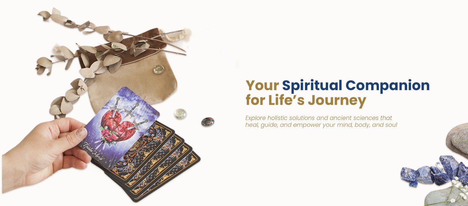 WhatsApp Image 2025-04-16 at 3.44.42 PM