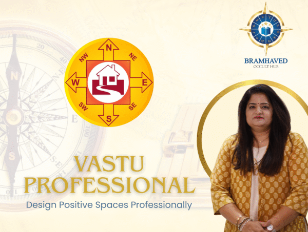 Professional Vastu