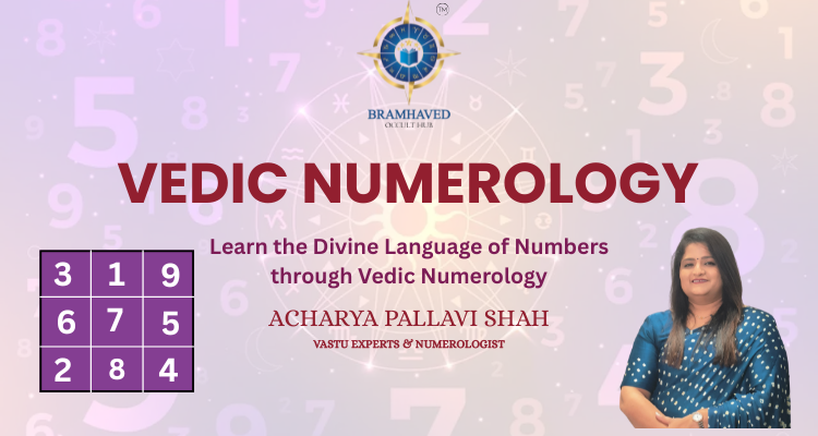 Vedic Numerology Professional